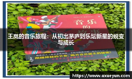 王岚的音乐旅程：从初出茅庐到乐坛新星的蜕变与成长